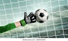 陈冠宇赛季表现观察